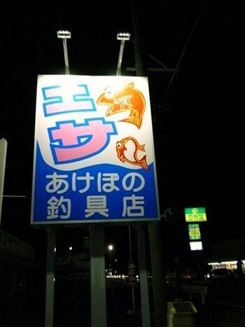 サイマキ、ウグイ入荷しました サイマキ、ウグイ入荷しました