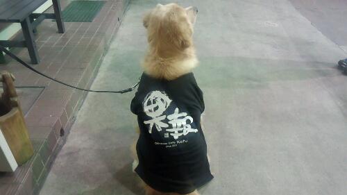 果報Tシャツ