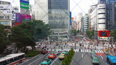 sayucan秋冬仕入れ
