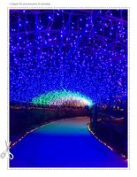 illumination illumination