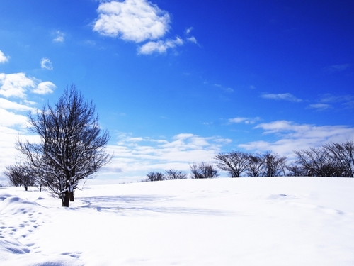 2月のご予約状況 【2019年】 2月のご予約状況 【2019年】