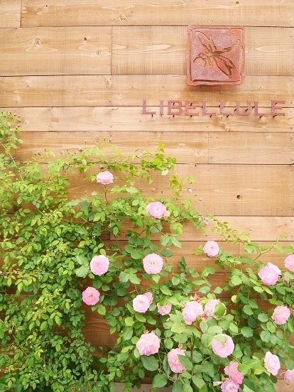 リベリュルの庭より～バラが見ごろを迎えています。