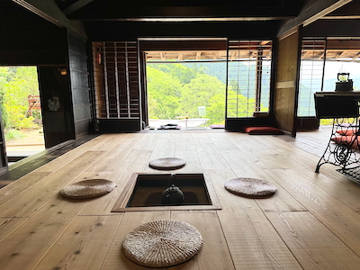 静岡諸子沢・黄金みどり茶園の黄色い茶畑訪問 静岡諸子沢・黄金みどり茶園の黄色い茶畑訪問