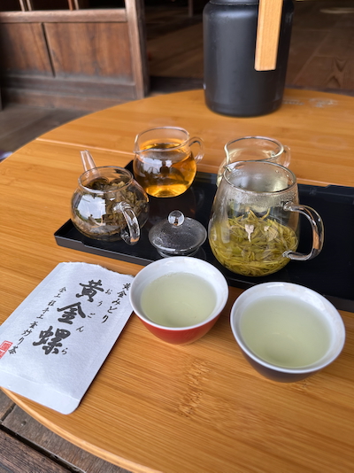 静岡諸子沢・黄金みどり茶園の黄色い茶畑訪問 静岡諸子沢・黄金みどり茶園の黄色い茶畑訪問