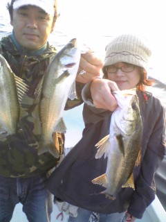 S夫妻と調査フィッシング
