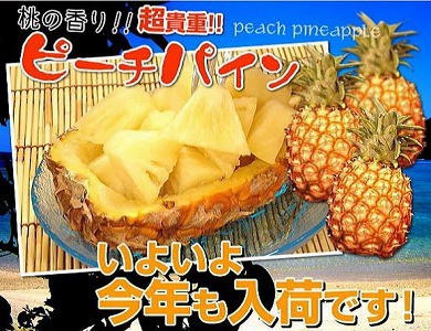 石垣島ピーチパイン入荷決定