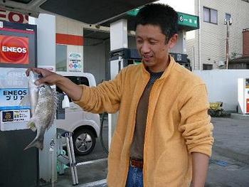 バオオさんご来店