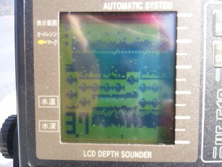 シーバス調査隊