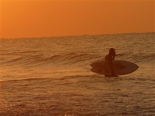 sunrize surf
