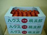始まります! 美味しいトマト