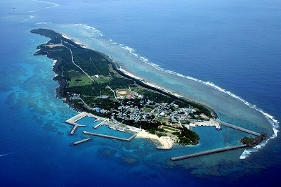 神の島の海ぶどう