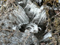 アラレと氷と霜柱