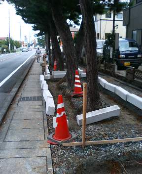 松並木歩道の改修