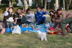 さ~く~ら さ~く~ら~ ただ咲きみだ~れ~♪