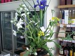 生花の無人販売