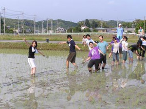 あ~あ 田植えは今日も雨だった~