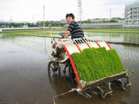 ぶらり途中下車の旅~海老名の蔵元の田植え風景