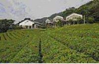 山荘でJAZZライブを