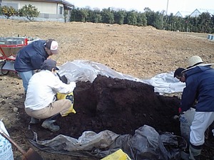 夢プロジェクト じゃがいも畑の石拾い作業と肥料撒き