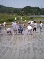花の香楽会~酒米の田植えと若葉の宴