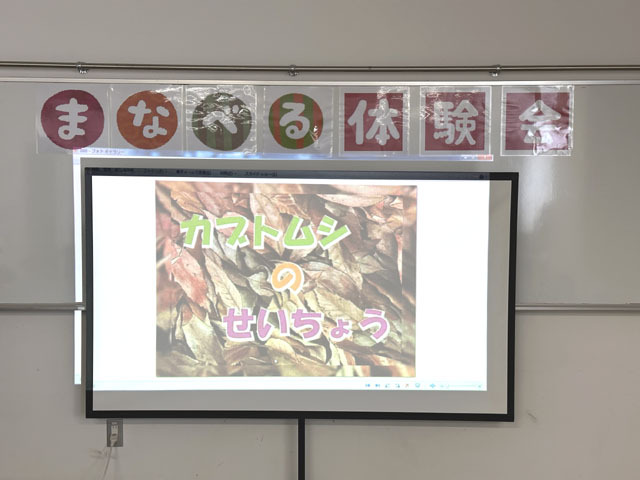 ボーイスカウト浜松第6団のまなべる体験会「カブトムシくん」の様子です。 ボーイスカウト浜松第6団のまなべる体験会「カブトムシくん」の様子です。
