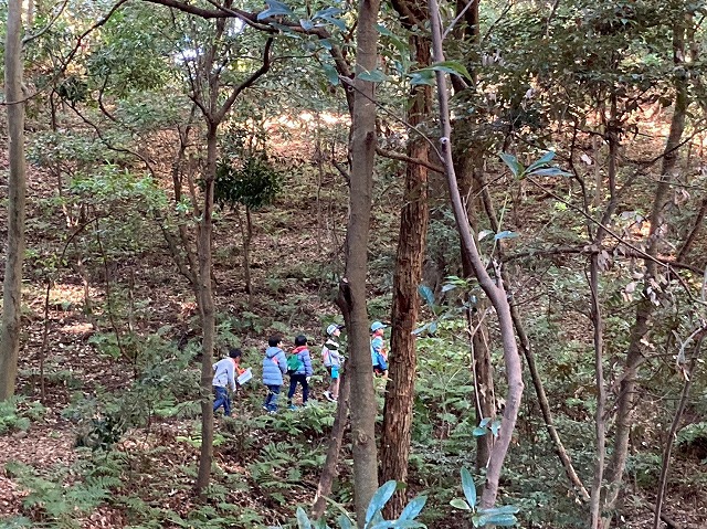 ボーイスカウト浜松第6団の活動体験会「森の宝探し」の様子です。 ボーイスカウト浜松第6団の活動体験会「森の宝探し」の様子です。