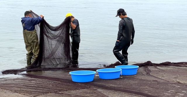 ボーイスカウト浜松第6団の親睦「地引網」の様子です。 ボーイスカウト浜松第6団の親睦「地引網」の様子です。