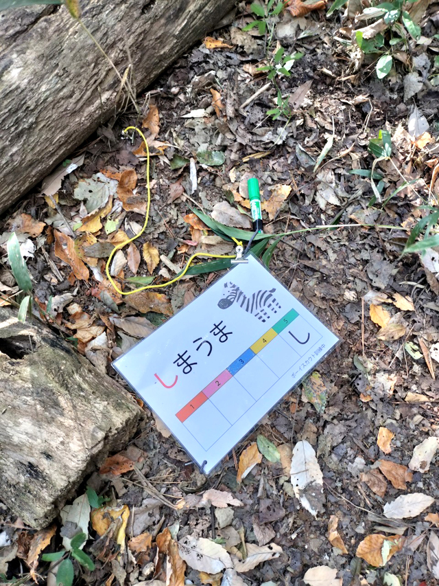 ボーイスカウト浜松第6団の活動体験会「森の宝探し」の様子です。 ボーイスカウト浜松第6団の活動体験会「森の宝探し」の様子です。