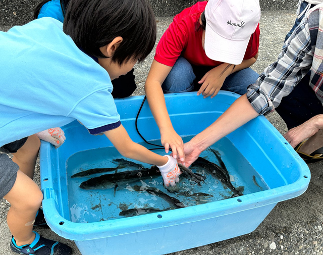 ボーイスカウト浜松第6団の親睦「地引網」の様子です。 ボーイスカウト浜松第6団の親睦「地引網」の様子です。