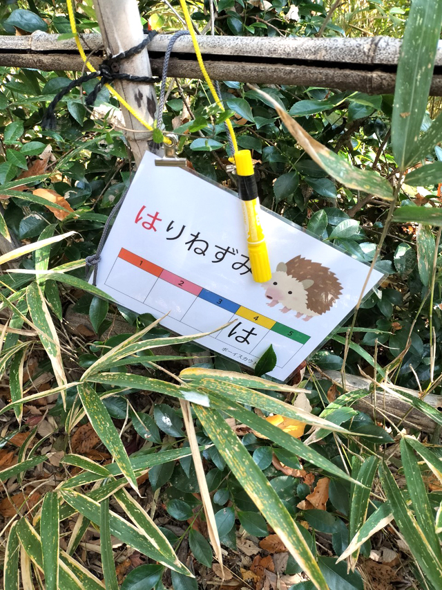 ボーイスカウト浜松第6団の活動体験会「森の宝探し」の様子です。 ボーイスカウト浜松第6団の活動体験会「森の宝探し」の様子です。