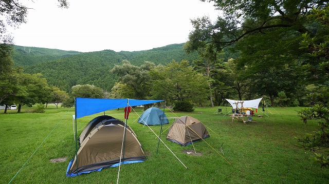 「Jamboree summer in SAKUMA」の様子です。 「Jamboree summer in SAKUMA」の様子です。