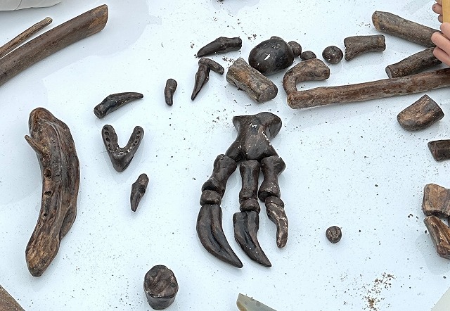 ボーイスカウト浜松第6団のまなべる体験会「恐竜教室」の様子です。 ボーイスカウト浜松第6団のまなべる体験会「恐竜教室」の様子です。