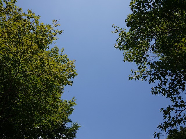 熱い僕らの夏期キャンプ 熱い僕らの夏期キャンプ