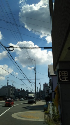 明日から雨のようですね 明日から雨のようですね