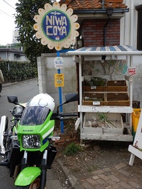 バイクで仙川のカフェまでお散歩(^^♪