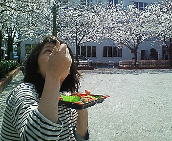 春になれば…