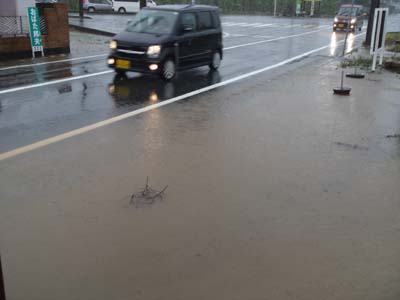 側溝があふれてる