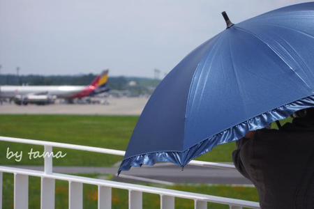 新しい展望デッキ まだ穴場かな? 富士山静岡空港 石雲院展望デッキ