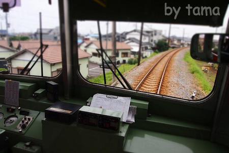 赤ガエル 緊急停車 岳南電車の旅 NO・7