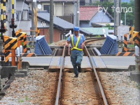 赤ガエル 緊急停車 岳南電車の旅 NO・7