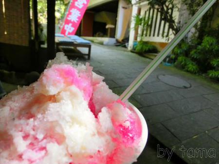 裏通りで一息♪ 廃れていく旅館 伊豆修善寺プチ旅 NO・5