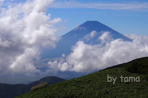 箱根駒ケ岳頂上から 初秋の富士山あれこれ♪ 10秒動画付き!