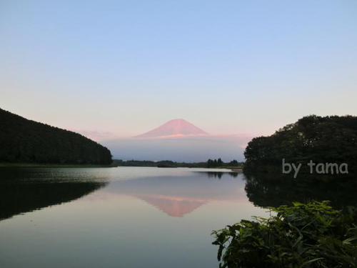 初めての逆さ冨士と名月を撮るの巻き♪ 意気込みだけは・・・・・・