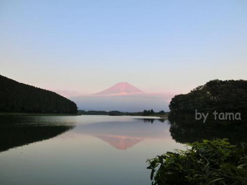 初めての逆さ冨士と名月を撮るの巻き♪　意気込みだけは・・・・・・