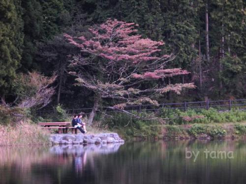 初めての逆さ冨士と名月を撮るの巻き♪　意気込みだけは・・・・・・