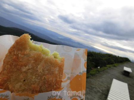 ケーブルカーで3分 十国峠頂上からの眺め ムービーあり