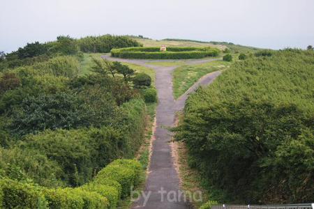 ケーブルカーで3分 十国峠頂上からの眺め ムービーあり