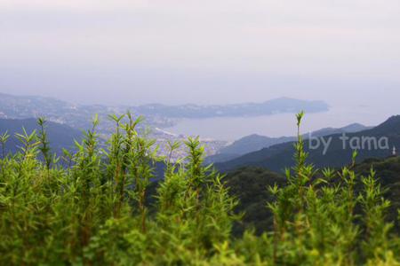 ケーブルカーで3分 十国峠頂上からの眺め ムービーあり