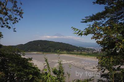 富士川楽座ちょっぴり情報♪ 冨士山を眺めながら桜えびとおそば