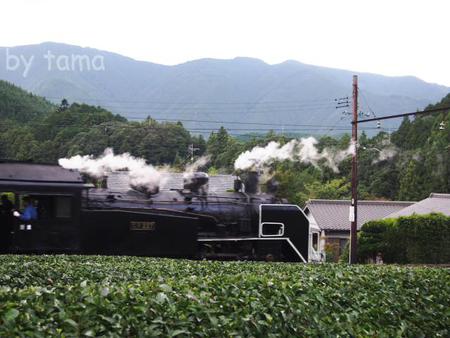 SLフェスタ2013重連走行のお知らせ&2012年プッシュプル走行地名トンネル通過の動画